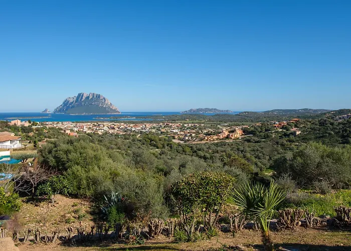 Vakantiehuis Incantevole Villettacon Giardino E Vista Mare Porto San Paolo (Sardinia)